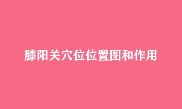 膝阳关穴位位置图和作用