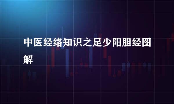 中医经络知识之足少阳胆经图解