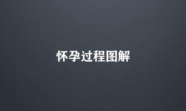 怀孕过程图解