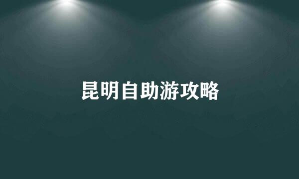 昆明自助游攻略
