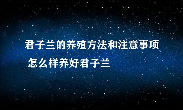 君子兰的养殖方法和注意事项 怎么样养好君子兰