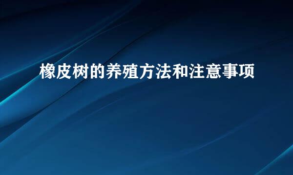 橡皮树的养殖方法和注意事项
