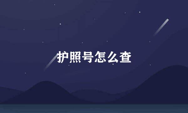 护照号怎么查