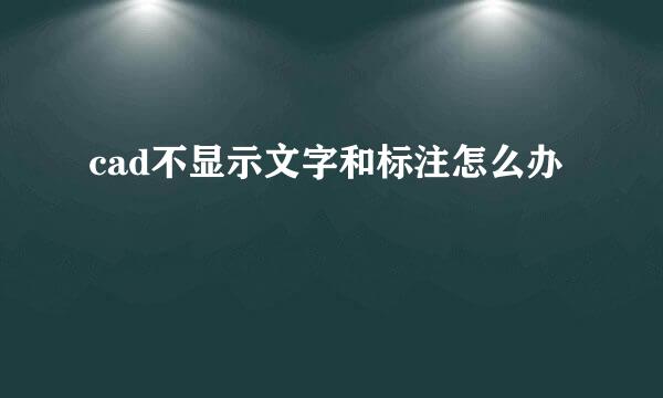 cad不显示文字和标注怎么办