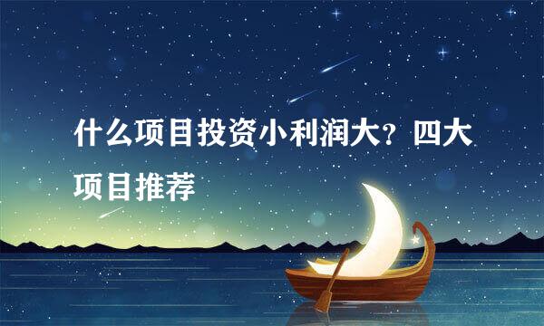 什么项目投资小利润大？四大项目推荐