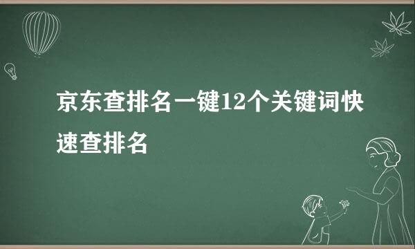 京东查排名一键12个关键词快速查排名