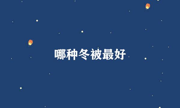哪种冬被最好