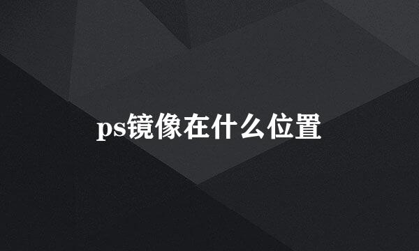 ps镜像在什么位置