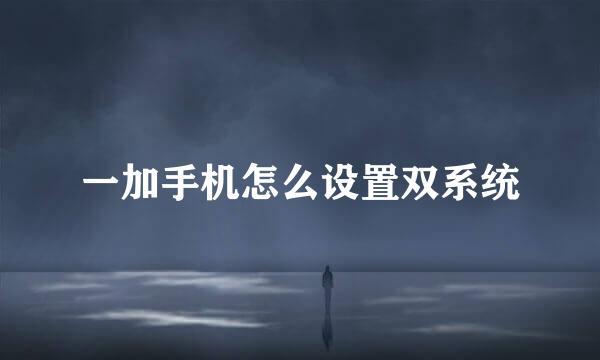 一加手机怎么设置双系统