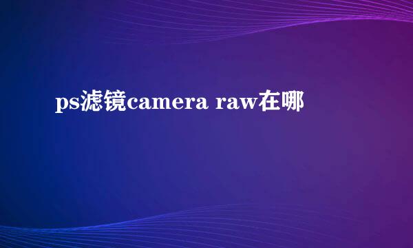 ps滤镜camera raw在哪