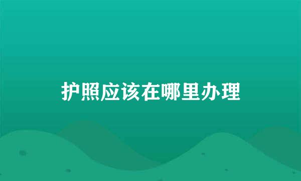 护照应该在哪里办理
