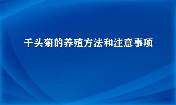千头菊的养殖方法和注意事项