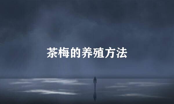 茶梅的养殖方法