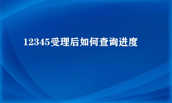 12345受理后如何查询进度