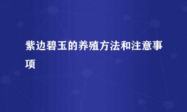 紫边碧玉的养殖方法和注意事项