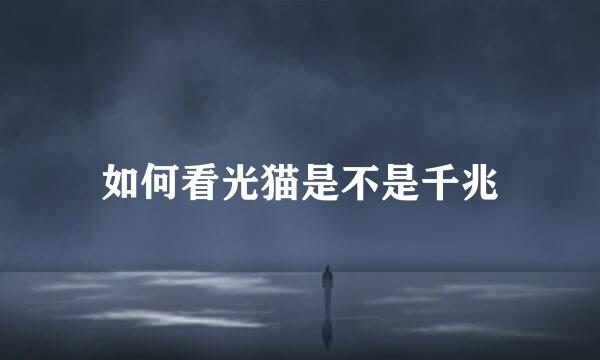 如何看光猫是不是千兆
