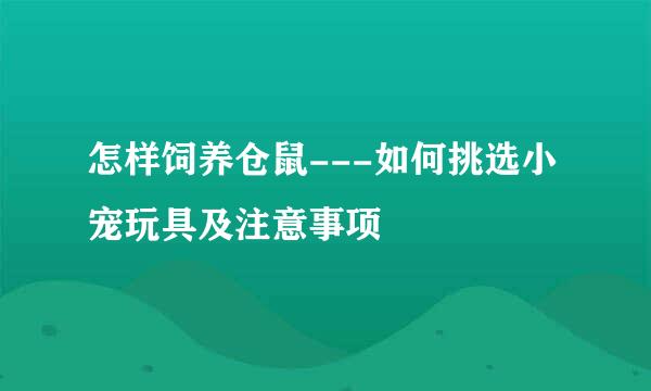 怎样饲养仓鼠---如何挑选小宠玩具及注意事项