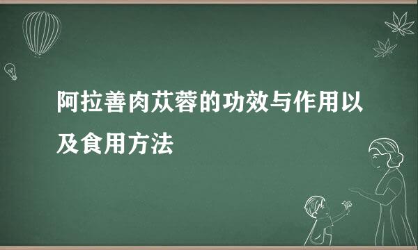 阿拉善肉苁蓉的功效与作用以及食用方法