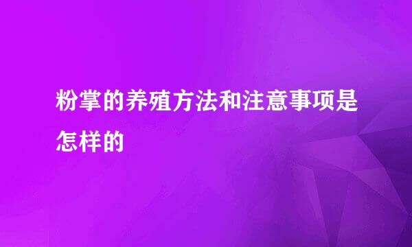 粉掌的养殖方法和注意事项是怎样的