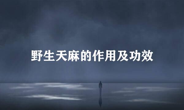 野生天麻的作用及功效