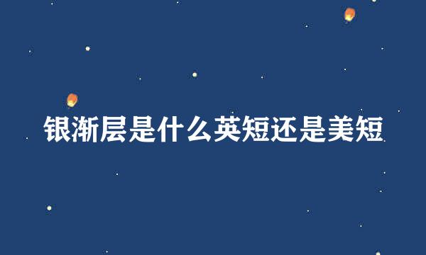 银渐层是什么英短还是美短