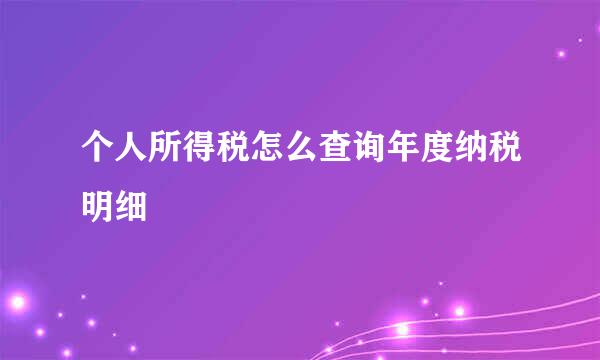 个人所得税怎么查询年度纳税明细
