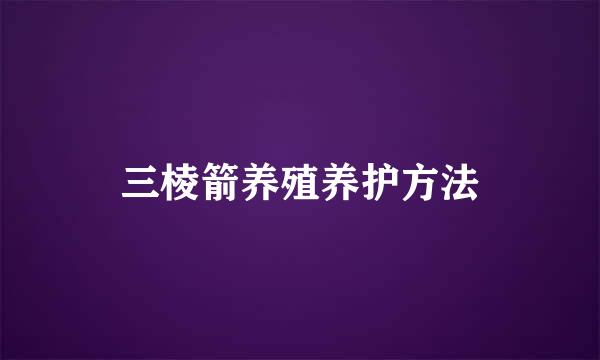 三棱箭养殖养护方法