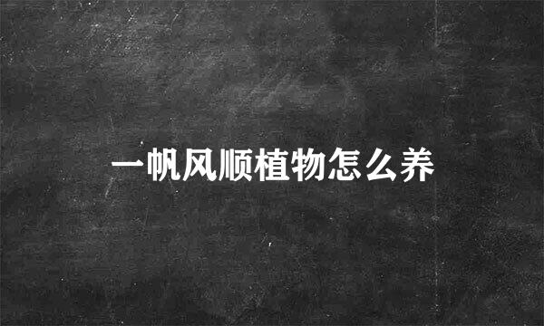 一帆风顺植物怎么养