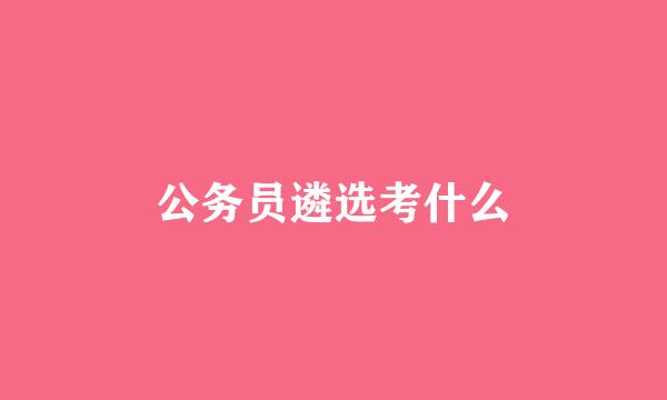 公务员遴选考什么