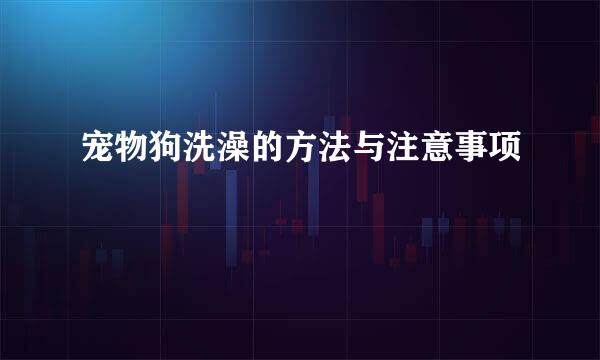宠物狗洗澡的方法与注意事项