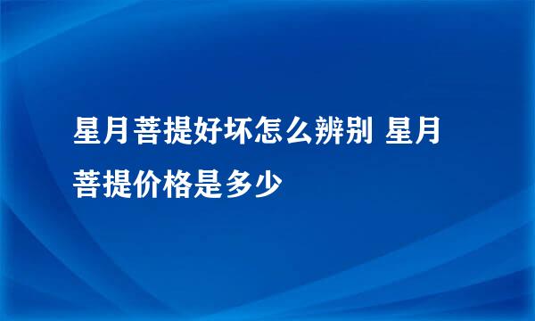星月菩提好坏怎么辨别 星月菩提价格是多少