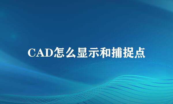 CAD怎么显示和捕捉点