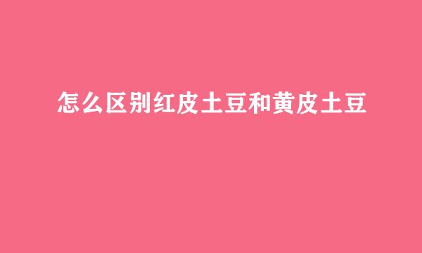 怎么区别红皮土豆和黄皮土豆