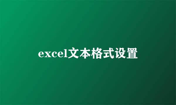 excel文本格式设置