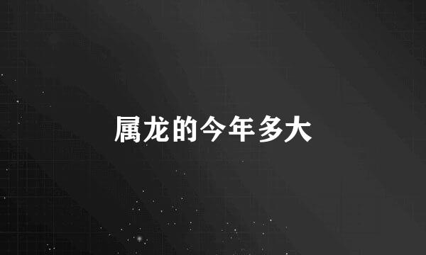 属龙的今年多大
