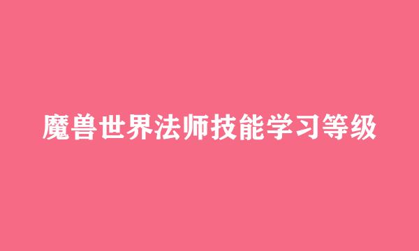 魔兽世界法师技能学习等级