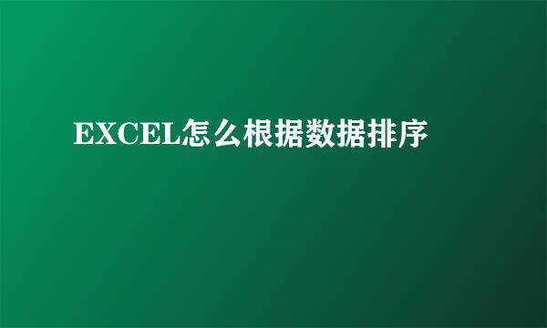 EXCEL怎么根据数据排序