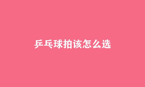 乒乓球拍该怎么选