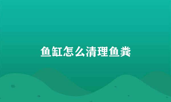 鱼缸怎么清理鱼粪