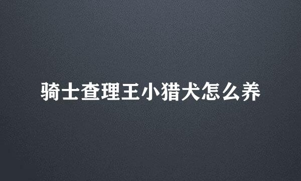 骑士查理王小猎犬怎么养