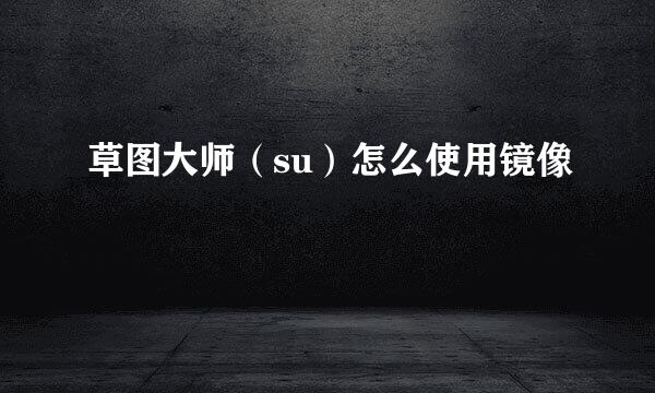 草图大师（su）怎么使用镜像