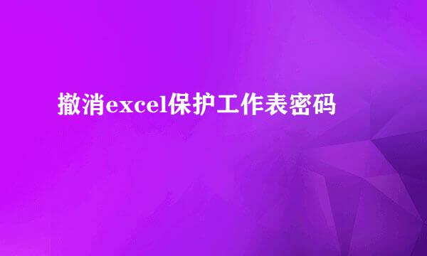 撤消excel保护工作表密码