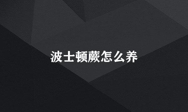 波士顿蕨怎么养