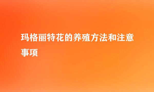 玛格丽特花的养殖方法和注意事项