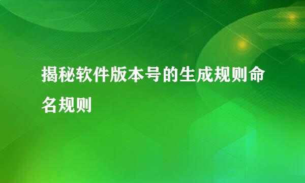 揭秘软件版本号的生成规则命名规则