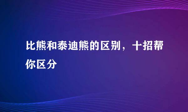 比熊和泰迪熊的区别，十招帮你区分