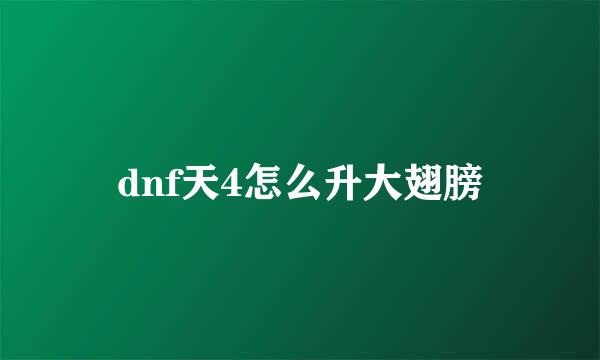 dnf天4怎么升大翅膀