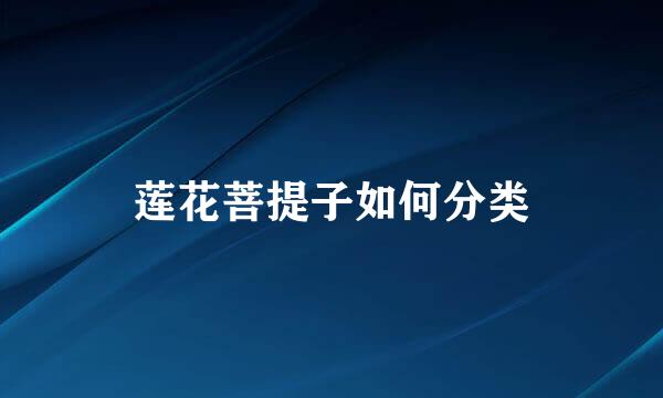 莲花菩提子如何分类
