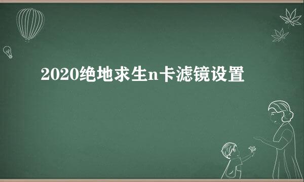 2020绝地求生n卡滤镜设置