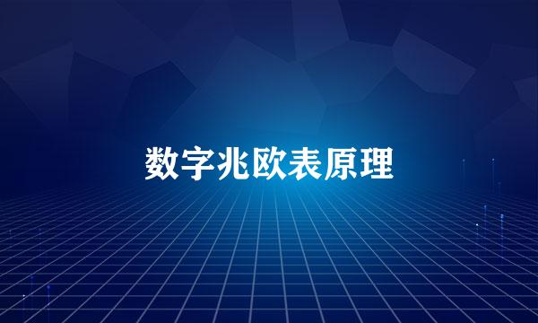 数字兆欧表原理